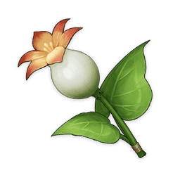 material icon