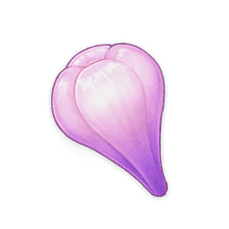 material icon