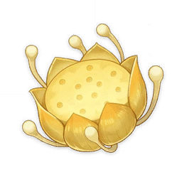 material icon