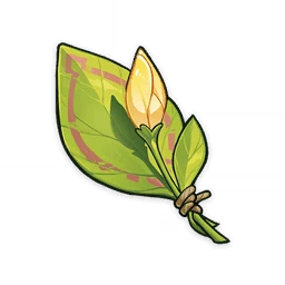 material icon